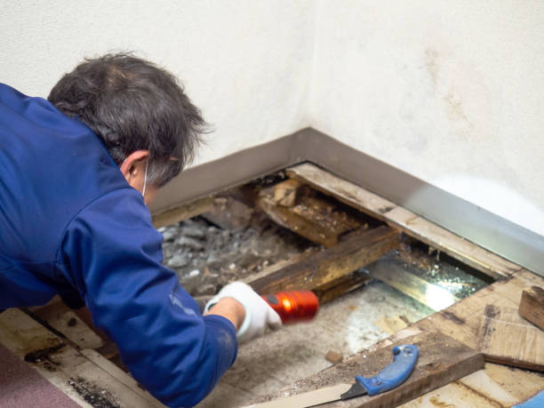 Best Water Damage Restoration  in Springfield, OR