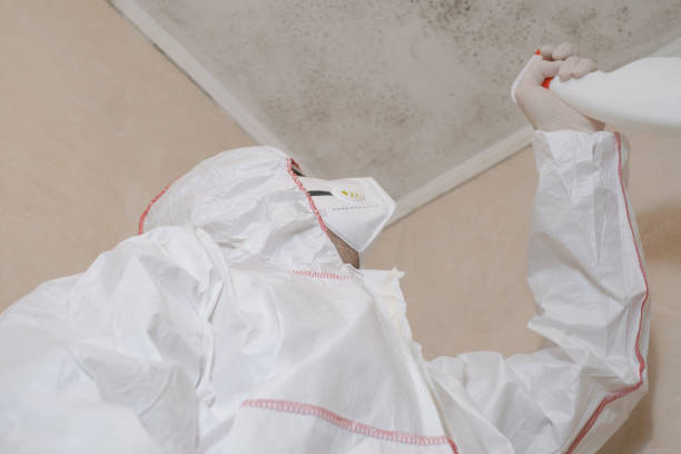 Best Mold Removal Company Near Me  in Springfield, OR